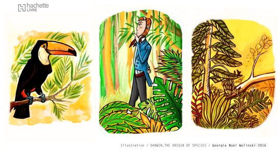 Darwin, une origine des espèces