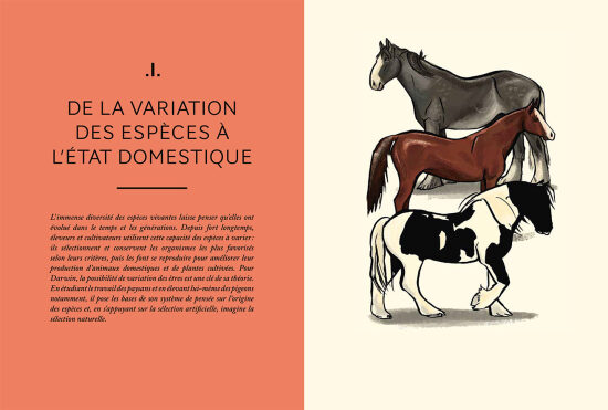 Darwin, une origine des espèces