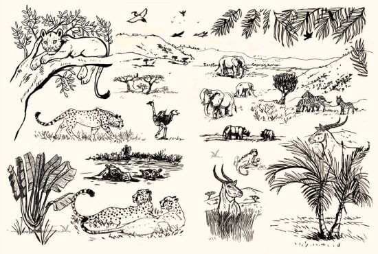 Darwin, une origine des espèces