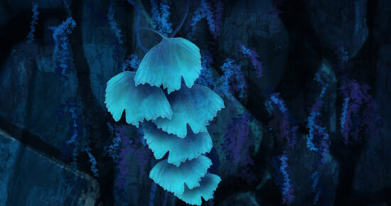 Concept Art