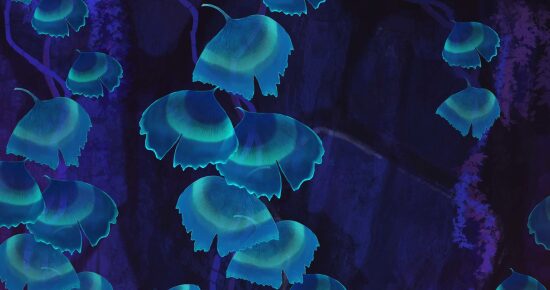 Concept Art